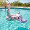 Inflable de Flamenco Tropical - Image 8