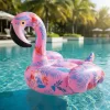 Inflable de Flamenco Tropical - Image 6