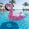 Inflable de Flamenco Tropical - Image 5