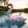 Inflable de Flamenco Tropical - Image 3
